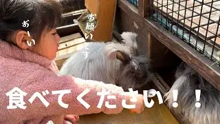 うさぎさんがエサを食べてくれないので…