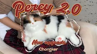 The Ultimate Gift for Seniors: Percy, the Interactive Robotic Companion Cat