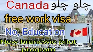 Canada free work visa / How to get free work visa for Canada , No education,No LMIA / job in canada