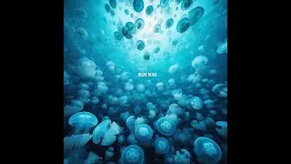 Wordsmth - KOI NAI // TWO DIFFERENT MOODS //