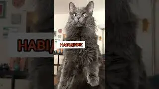 СУ-152 Екіпаж. Прикол🤣 World of Tanks Blitz WOT minecraft pubg бліц Ворлд Танкс бліц ржач вбр фугас