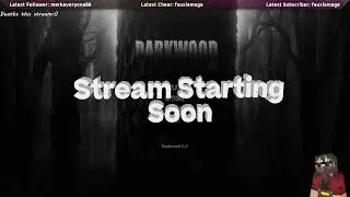 (PC) - Darkwood - A Topdown Survival Horror Story (part 2)