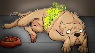 POOR DOG! FINAL TRANSFORMATION! (The End...) The Visitor 2 Episode 07 Final