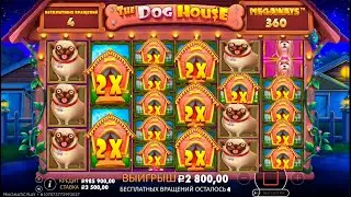 4 ЛАПЫ🔥 КУЧА ВИЛДОВ И ТОП ИКСЫ В СОБАКАХ! РИСКНУЛ ВСЕМ! заносы недели \ dog house