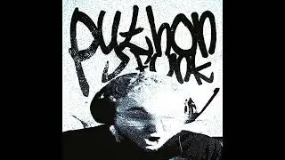 RD12 - PYTHON FUNK (Slowed)