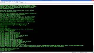 Cisco Nexus FEX and vPC Configuration