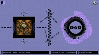 Magnetizm - Newa (Original Mix) [Organic House & Downtempo] [Sounds Of Sirin]
