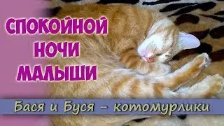 Goodnight kids. The cat is sleeping.