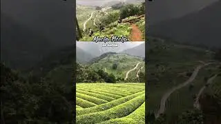 El Machu Picchu de Japón 💚