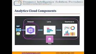 Salesforce Wave Analytics and Configuration