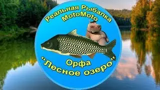 Как поймать Орфу на Лесном озере [АРХИВ] | Реальная Рыбалка