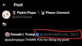 DONALD TRUMP noticed PIPPA!?! - Pipkin Pippa