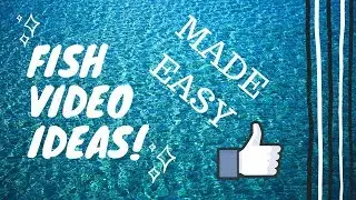 Overcome Writer's Block - Easy Fish Video Ideas - 100