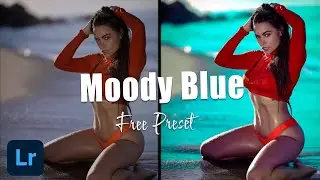 How to edit Moody Dark Blue Preset Lightroom Mobile - Lightroom Presets Free Download DNG