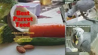 #BEST #PARROTFEED #AFRICAN GREY #RICHINCALCIUM & VITAMINS MINERALS
