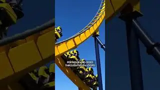 YOU CAN ONLY RIDE THIS ROLLERCOASTER ONCE!! 