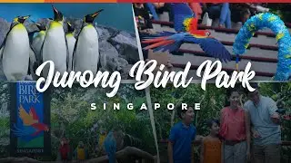 Jurong Bird Park | Singapore