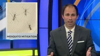 Mosquito Mitigation