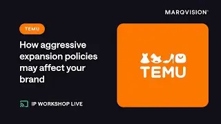Temu: 2024 Brand Protection Trends