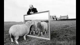 Object Cloning in Java