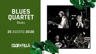 Blues Quartet live -  Clorofilla Oasi Selvaggia Pesaro - Blue Suede Shoes
