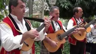 Musica Canaria Hotel Best Tenerife
