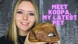 Meet my little bestie | The long awaited reveal