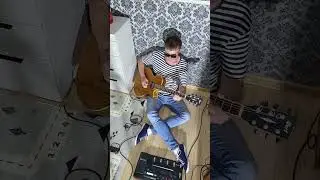 У вишневому саду (guitar cover)