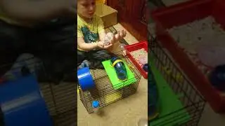 Упс, прости хомячок