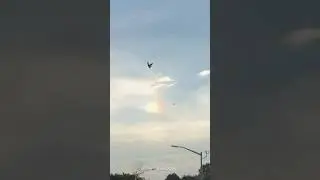 Mini Rainbow and Butterfly #shorts
