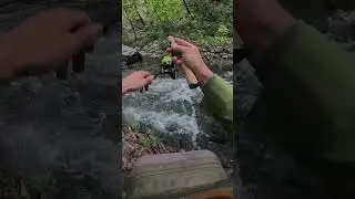 Что за РЫБА этот ЗВЕРЬ 🦖 Кто знает напишите в комментариях 