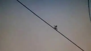 u are dead#1