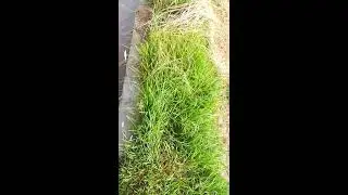 Nokia 6.1 plus camera Test - Nokia X6 camera - Nokia X6 camera review -  Nokia X6 Camera Test