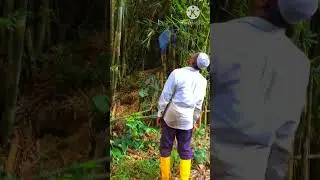 AMBIL MANA YANG BOLEH