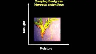 Advanced GCM: Habitats