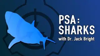 PSA: Sharks with Dr. Bright