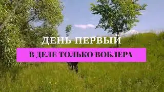 Я ВЕРНУЛСЯ! 2 Дня на голавлиной реке