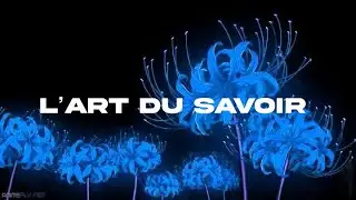 VDYCD - L’art du savoir ( s p e e d  u p )