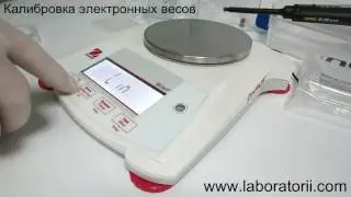 Calibration of electronic scales Scout SPX622