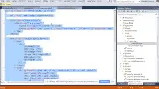 angular with web api