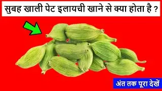Subah Khali Pet Elaichi Khane Ke Fayde || सुबह खाली पेट इलायची खाने से क्या होता है