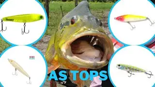 As iscas que PEGAM os grandes açus, da mais barata até a melhor! Pescaria de tucunaré Açu, Amazônia