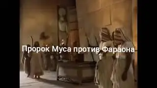 ФОКУСНИК Колдун vs ПРОРОКА МУСЫ ,ТУПЫЕ ФАРАОНЫ