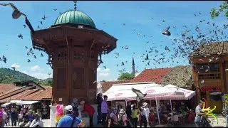Сараево / Часть 1 / Заброшенная олимпийская бобслейная трасса и Старый город