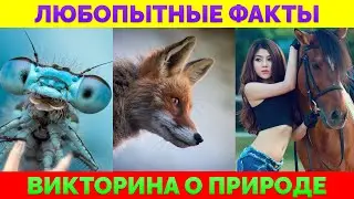 Самые Забавные Факты о Природе | Викторина: 20 Вопросов с Ответами
