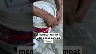 membuat tempat udang #diy #shortsyoutube