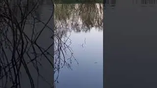поплавок в работе #рыбалка