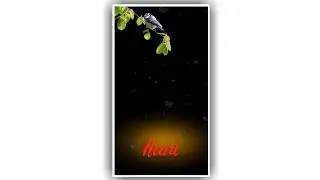 Kinemaster light effect video background full screen | black screen template 2023