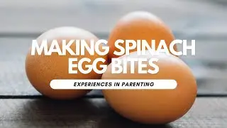 Baby Led Feeding: Spinach Egg Bites