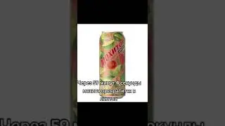 через 1 час мохито превратится в Липтон